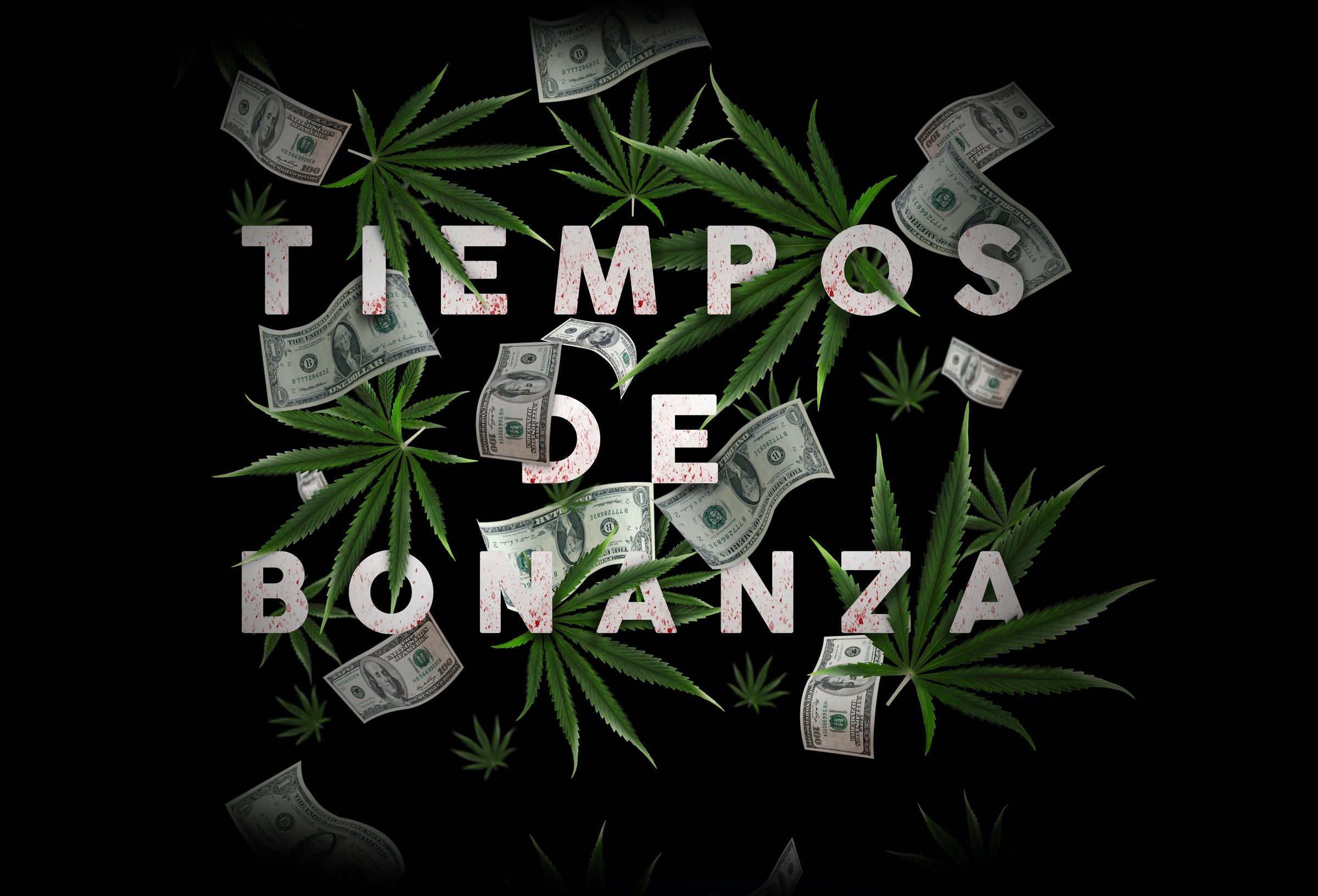Tiempos de Bonanza title in distressed white letters among falling banknotes and cannabis leaves on black