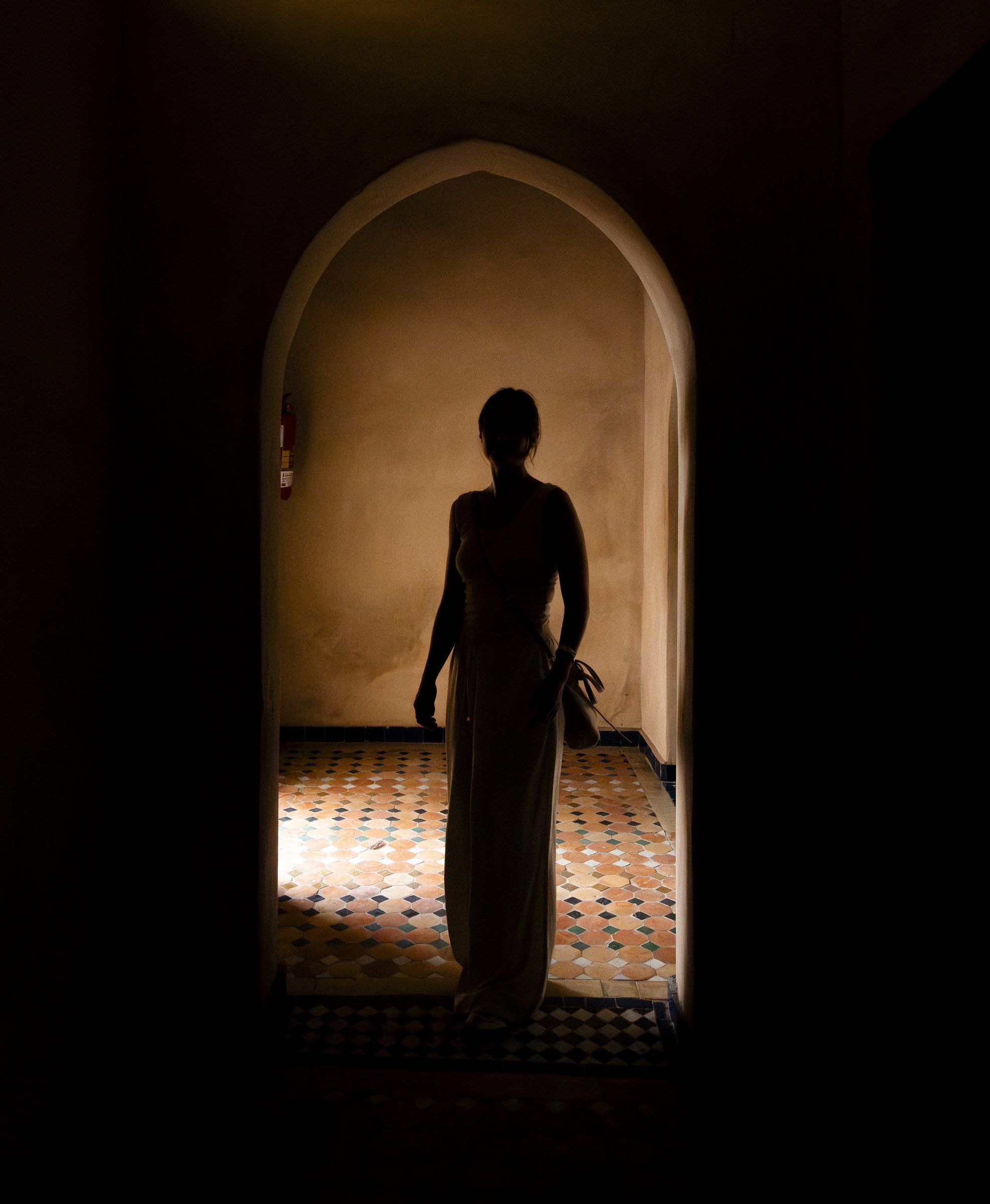 Silhouette of a woman in a long dress standing in a dark arched doorway above a patterned tiled floor
