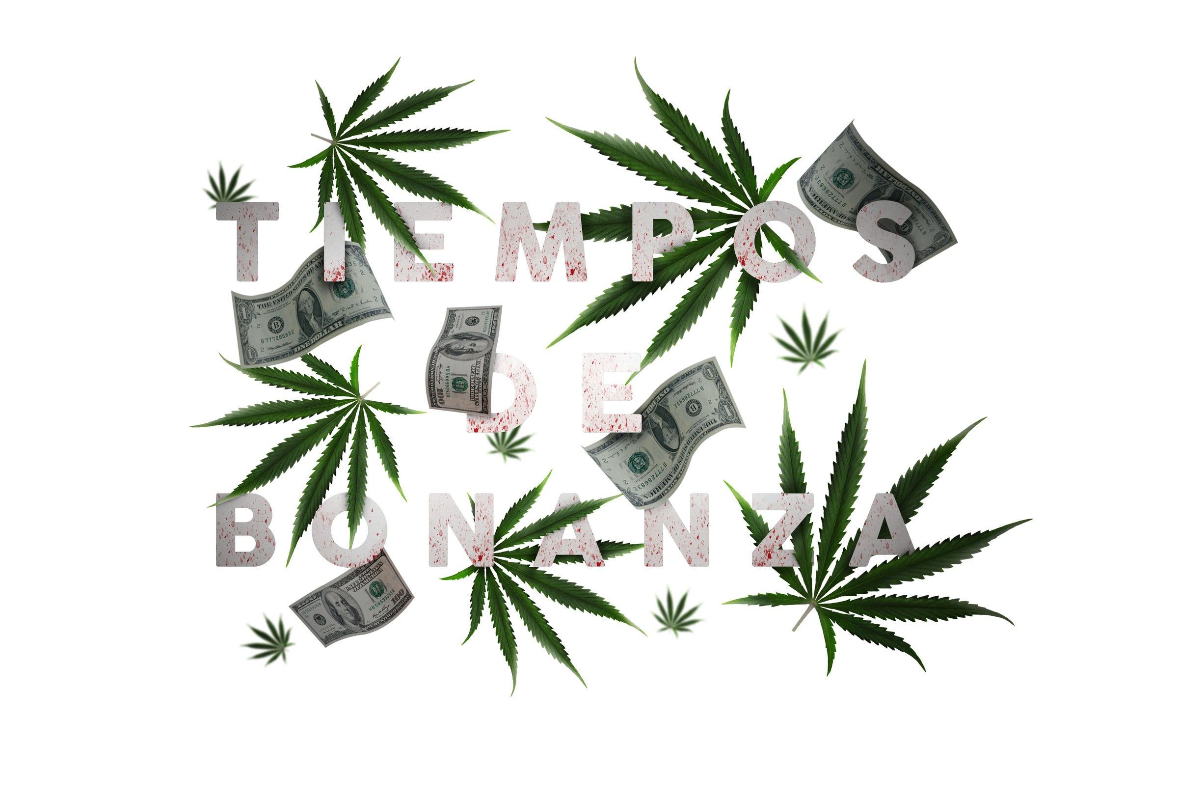 The title treatment with leaves and banknotes on white