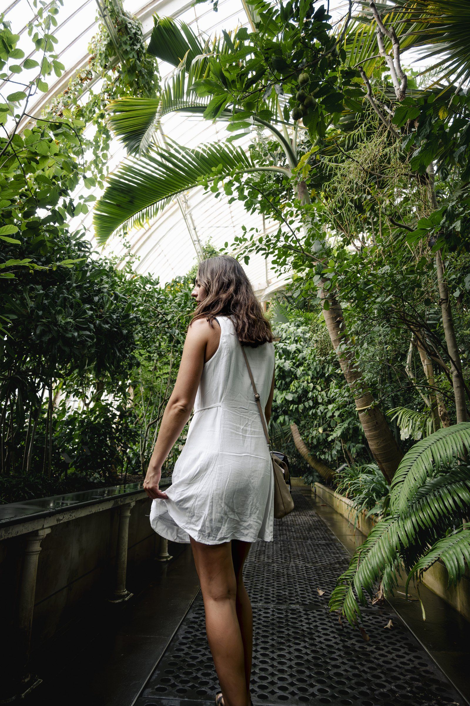 Woman in a white dress walking through a glasshouse of palms and ferns