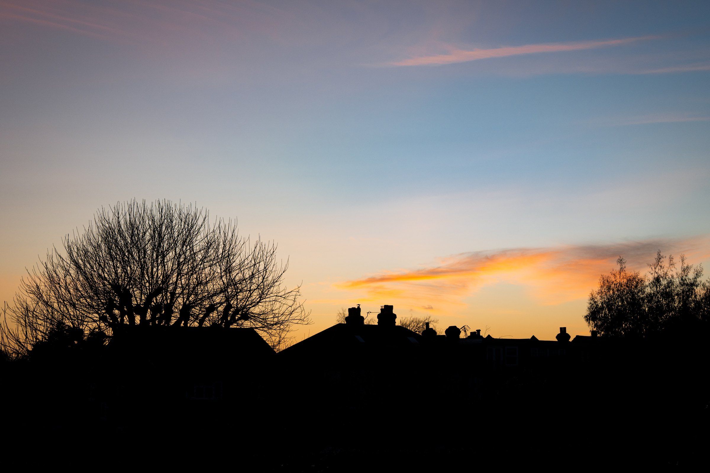 Rooftops and a bare tree silhouetted against an orange and violet sunset