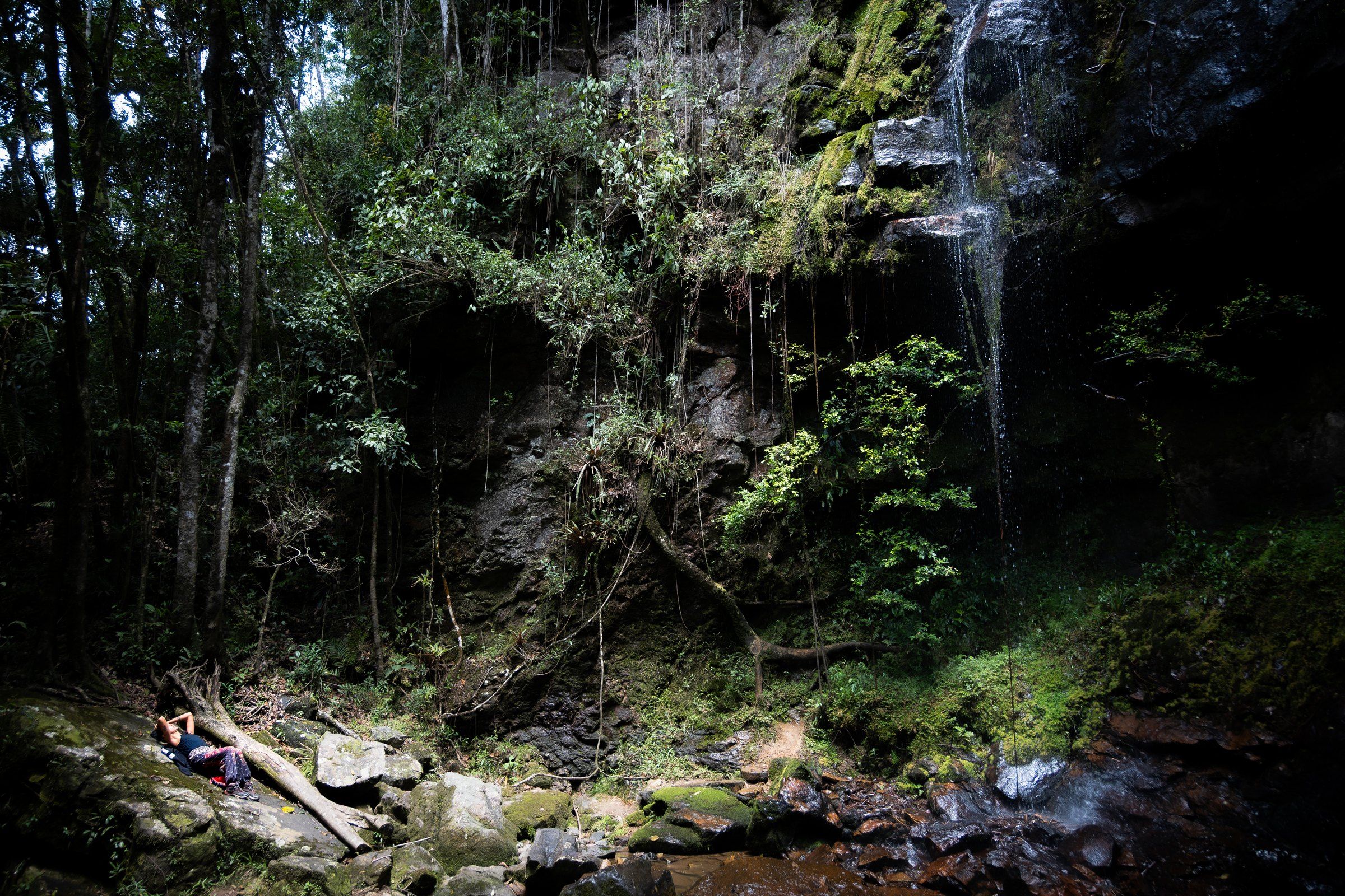 Waterfall over a mossy cliff in dense forest, with a person resting on the rocks below