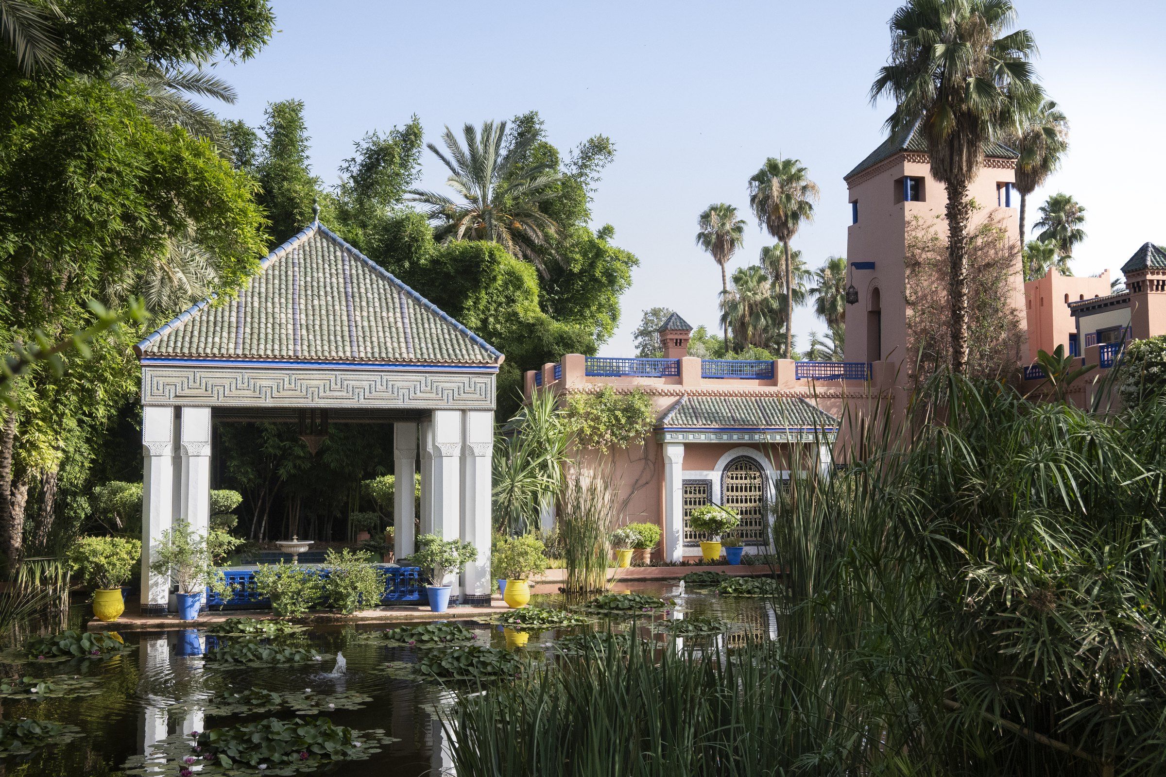 Garden pavilion with a green tiled roof beside a lily pond, with palms and a pink villa behind