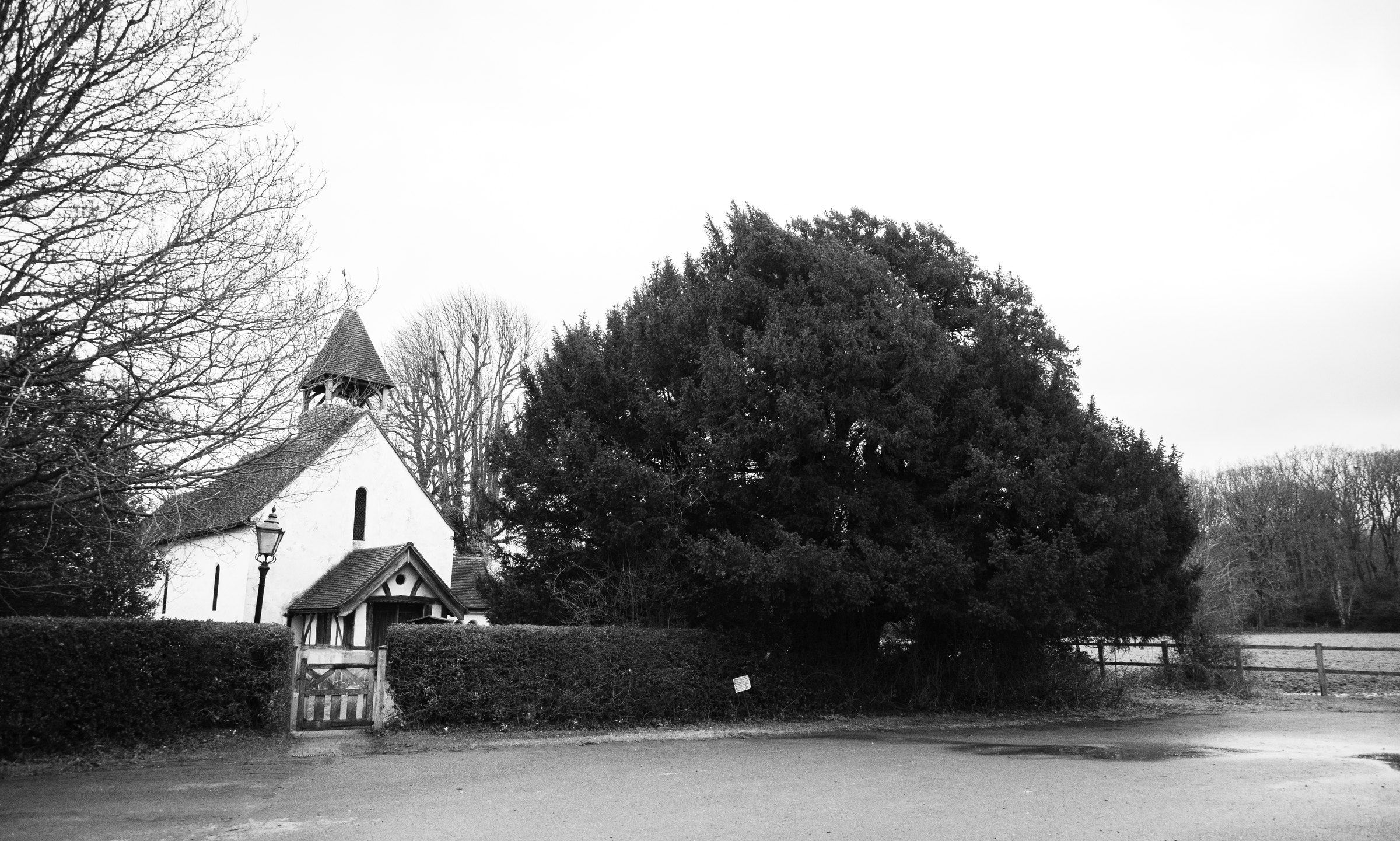 Black-and-white photo of a small white church with a bell turret beside a dark yew