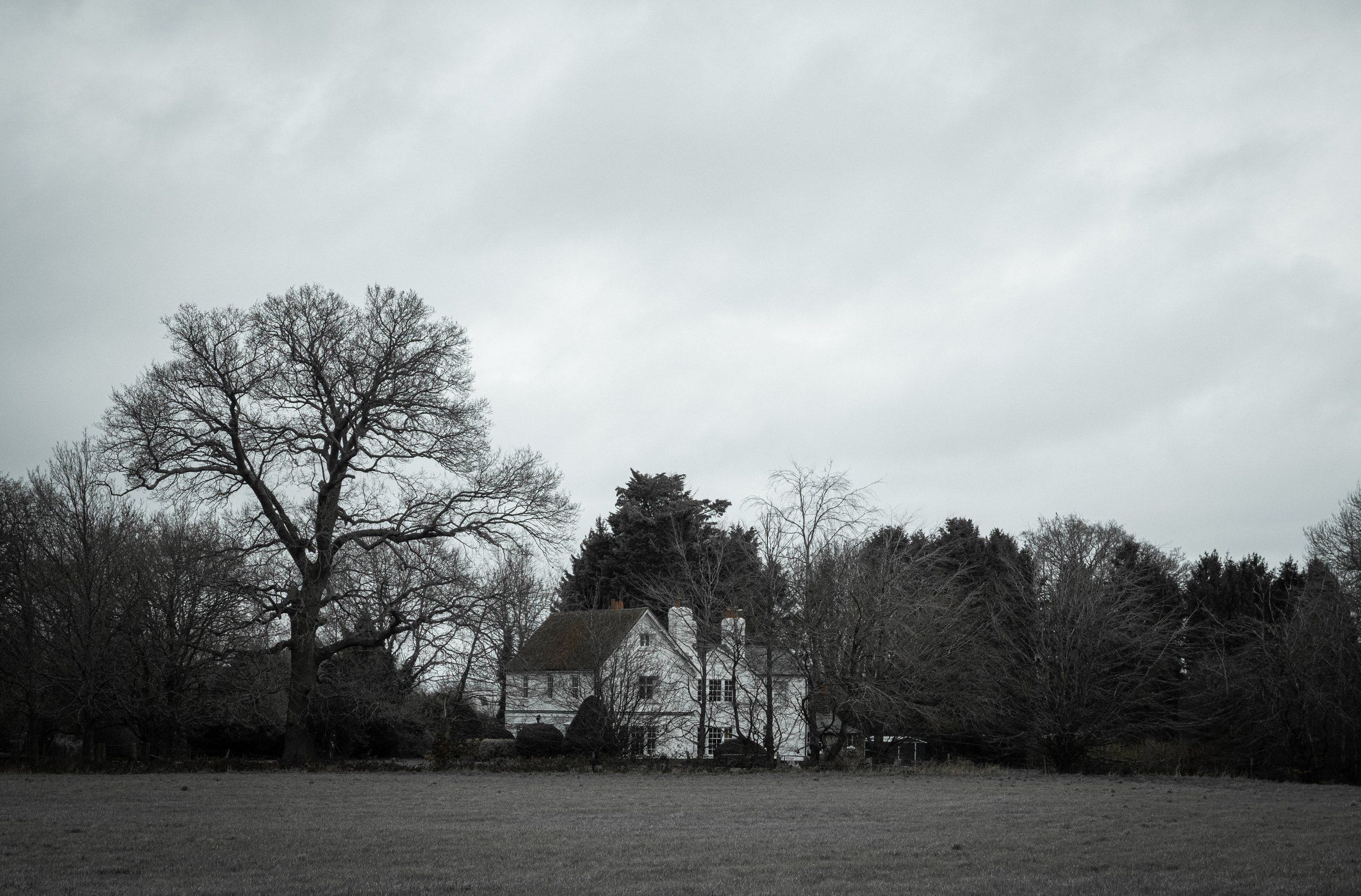 Black-and-white photo of a bare oak and a white house under a grey sky