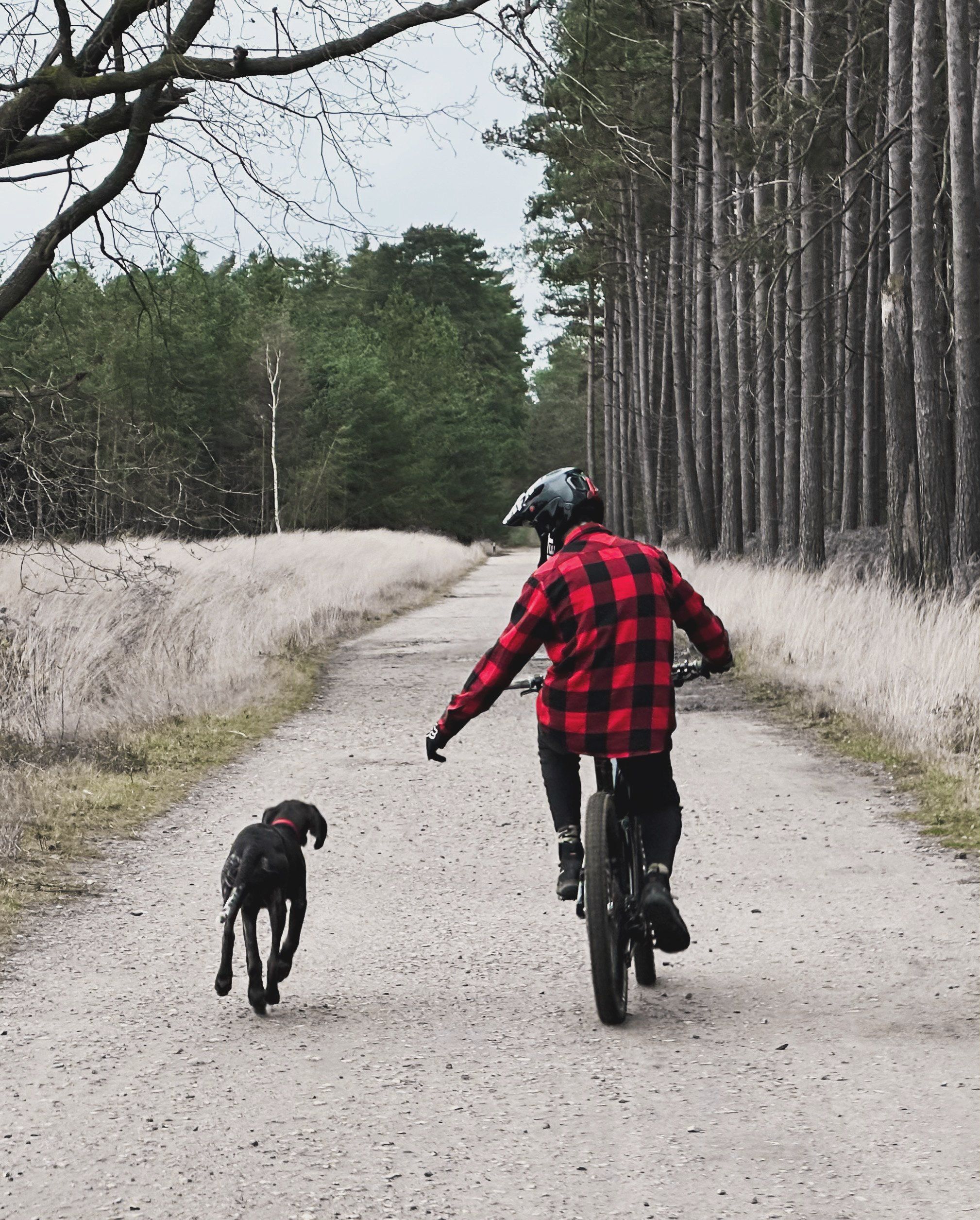 Juan mountain biking in a red checked shirt along a forest track, his dog running alongside